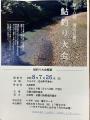 thumb_20260602-141931-12669600-b72e0615e83b42920d0674bfa6365cbd.jpg (68x90)