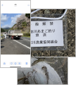 thumb_20250411-180525-01454100-471d1f802dfeb91cb64cfb4b0d7efc13.png (81x90)