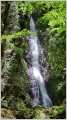 thumb_20250503-162712-01325500-20a2d36d262f84dfc758018ad2111d11.jpg (51x90)