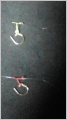 thumb_20250517-125328-69102500-11b5feb56b9e6088cad4fb56ca22cf29.jpg (51x90)