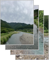 thumb_20250527-072326-88349200-53d617304ca433fb892bb4c1020048e5.jpg (73x90)