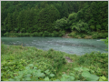 thumb_20250529-093418-98661300-7007d16e470586352d8b2f92e34f43c6.jpg (120x90)