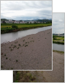 thumb_20250531-131141-44678400-a88b757d57aff5eb571bae2be5b0aedb.jpg (71x90)