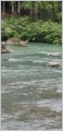 thumb_20250602-062227-92792500-85efe5c0f627c86548f4f8f352a84485.jpg (44x90)