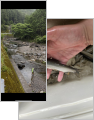 thumb_20250602-160054-95052900-e941316956ab47ae4b8f1ba673c40aa6.png (71x90)