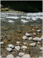 thumb_20250616-031714-87967400-7f2244edd6cd4b00ec11f423f983fe1e.jpg (68x90)