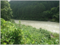 thumb_20250617-094024-96239000-001942c2f1965cbeec64f2e67f200ea4.jpg (120x90)