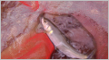 thumb_20250617-183340-12835300-a5dde49371afb0dd66370241ff454c3b.png (120x67)