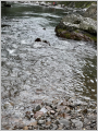 thumb_20250621-162157-98050600-d4c4fad78bc77ef23067605ec9edbd8f.jpg (68x90)