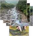 thumb_20250628-080108-14104800-a9665e5df10d609cb203a3b07f75ad3f.jpg (83x90)