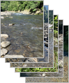thumb_20250628-202651-45803400-5ae752b3c54cf82a4af90deb9e913f41.jpg (75x90)