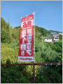 thumb_20250705-205359-40075900-36b0f8d236cde922c796a1a77da4c3b7.jpg (68x90)