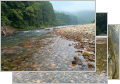 thumb_20250706-063139-98393100-8b0cb4307bef25fde6c95b5d2595ca49.jpg (120x84)