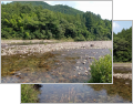 thumb_20250709-080152-51843000-7a093b79ff6a95bdf7441aff68c38690.jpg (120x94)