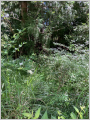 thumb_20250711-071000-87277600-54250db22365986df19b913c7a317fc4.jpg (68x90)