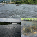 thumb_20250711-213133-35748900-c698ab493a5c5c9a87176fbedb73ed5b.jpg (90x90)