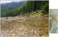 thumb_20250713-064629-23617000-87aec19bc48378589df2d019c03d8994.jpg (120x76)