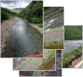 thumb_20250720-223408-01572800-dfc3bd75b292a896cc5574270dcdcece.jpg (120x111)