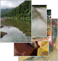 thumb_20250728-055417-46036500-e33402c2a15384e61d8727bdbb67ec76.jpg (87x90)