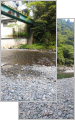 thumb_20250810-145731-56541200-c23d2fc714c60ede3a113b609449189a.jpg (57x90)