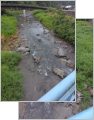 thumb_20250812-100844-13460700-c84d85d2d3990ab98c927570baa495bb.jpg (71x90)