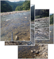 thumb_20250818-233559-98105900-ff7712e3ad6c82173a18eb50c70ec1ff.jpg (84x90)