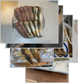 thumb_20250826-070829-96426600-1c77d436f383e1f5932c3048f2b67b2b.jpg (84x90)