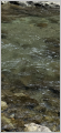 thumb_20250831-011039-10438400-b9ccead95f40fa6fdf805d3982f94dd3.png (42x90)