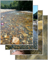 thumb_20250901-092705-04912600-ebc9d4e7e842c030afb4b525abd02ded.jpg (73x90)