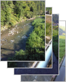 thumb_20250906-080710-40152800-31b00c5fe92a47e3bd7f7b3ab92cb2dd.jpg (73x90)