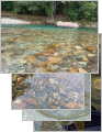 thumb_20250921-064923-86540500-93aabf6d59d471f8c8394c71df790ba7.jpg (70x90)