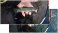 thumb_20250930-193937-15843700-dac3b14022d322d257cd79e9049be2ad.jpg (120x69)