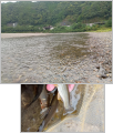 thumb_20251008-110656-13755900-6fe240615aad1a0acb1b5d526cc68c54.jpg (77x90)