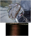 thumb_20251013-213223-66096000-bad4d44525eb5d8a67771894d2a3413d.jpg (77x90)