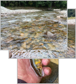 thumb_20251016-072757-25590800-7a23ac06609f82427bef4abbdfff495d.jpg (81x90)