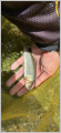 thumb_20260502-212608-15002700-3a56b9feca981f139f1ba163fd70f8cc.png (42x90)