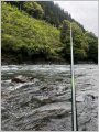 thumb_20260506-185205-40148200-466f8fb97f9780b9e95e96e36cd13aa6.jpg (68x90)