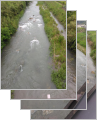 thumb_20260608-173351-92000800-46379059b5dc4ec3c39e81dcc2622f0a.jpg (73x90)