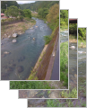 thumb_20260610-172600-43552000-bf4a55747139f2520a5a6dea1a98d0a2.jpg (73x90)