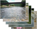 thumb_20260622-072618-99989700-03d47d25e2bcbb880a97bcf6371e4200.jpg (120x96)