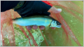 thumb_20260716-040019-45208400-9ae4cf74c8104bd185d54ba32a1c5e60.jpg (120x67)