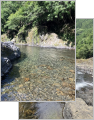 thumb_20260801-070247-67467000-3b4121eec56d9e41b93e4f5e5b272841.jpg (71x90)