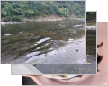 thumb_20260816-191034-99608900-0d218c9b3d51cf3c777ab7617727b9d7.jpg (120x96)