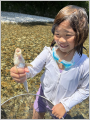 thumb_20260822-165719-92611300-b526178582362928643824858e204c2e.jpg (68x90)