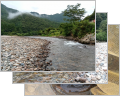 thumb_20260830-090026-83686200-29737b27776c6f34837245ce6b615b2c.jpg (120x96)