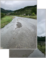 thumb_20260913-060704-05526400-36e263b60e3b88e16a9f0dbbb6b0d9cc.jpg (71x90)