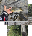 thumb_20261005-130459-67281500-1f9f77530b07ffd48ac010cdd7ace87c.jpg (81x90)