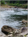 thumb_20261009-195048-16693900-c7e171b1a5951e867b19150321ec18a2.jpg (68x90)