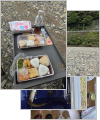 thumb_20261010-185219-63672800-a65f50eded68632bd9be03dbe1d601ed.jpg (75x90)