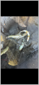 thumb_20261012-043108-12255200-853f5818f9d47d3e973e5d03804beea2.png (42x90)
